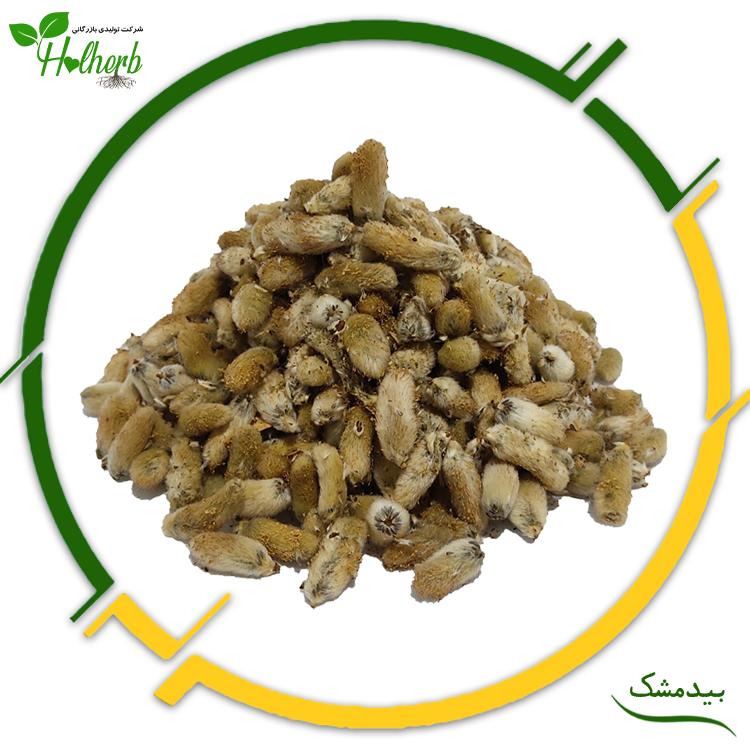 بیدمشک