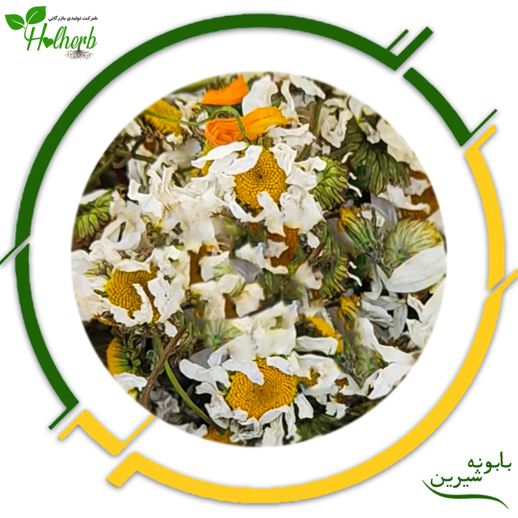 بابونه شیرین