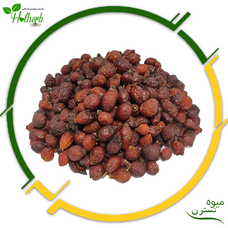 میوه نسترن