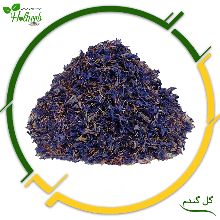 گل گندم